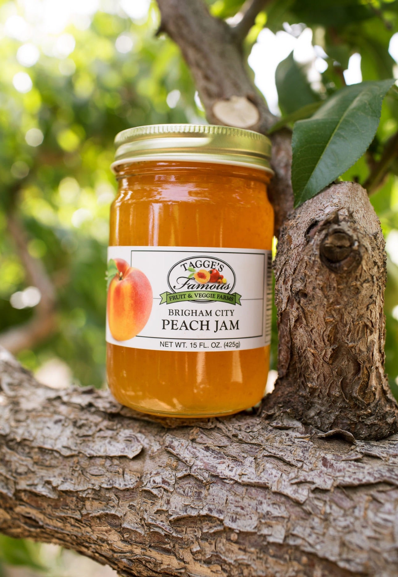 Brigham City Peach Jam